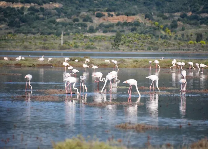 Yalicapkini Boutique Ξενοδοχείο 5*