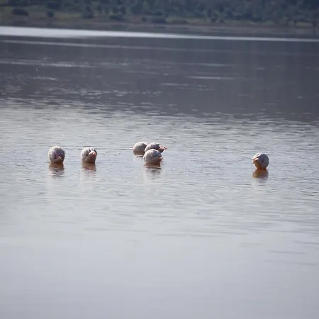 Yalicapkini Boutique 5*