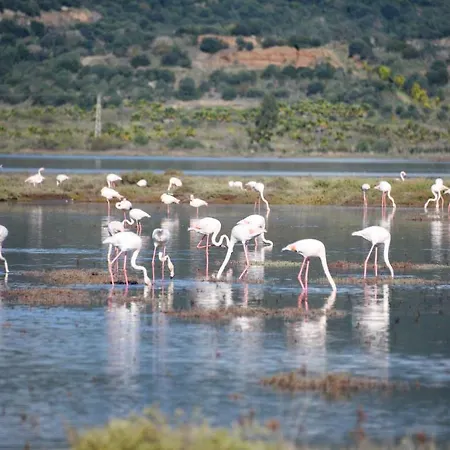 Yalicapkini Boutique מלון 5*