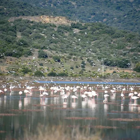 Yalicapkini Boutique מלון