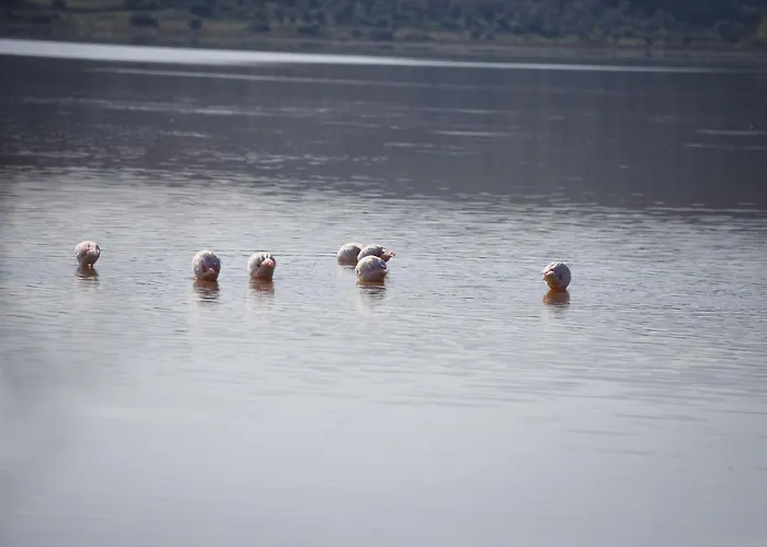 Yalicapkini Boutique 5*